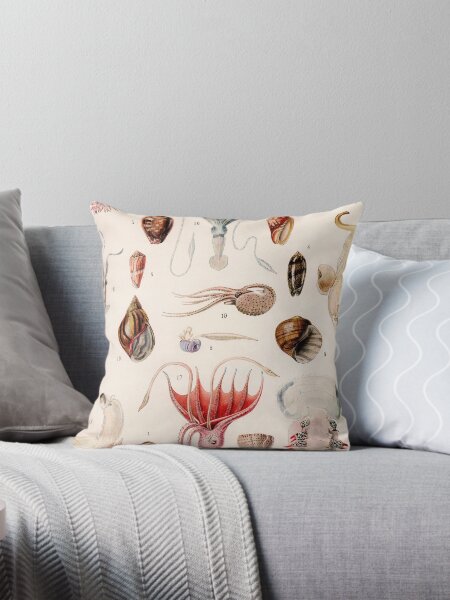 Item preview, Adolphe Millot - Mollusques 01 - French vintage zoology illustration designed and sold by DejaVuStudio.