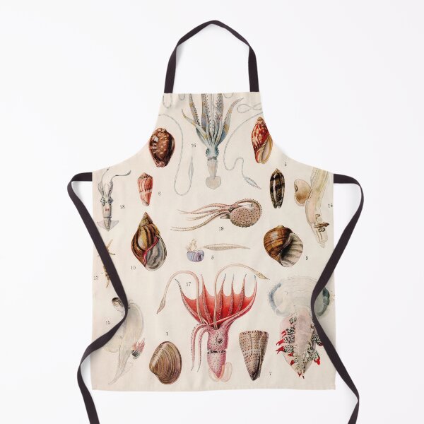 Item preview, Adolphe Millot - Mollusques 01 - French vintage zoology illustration designed and sold by DejaVuStudio.
