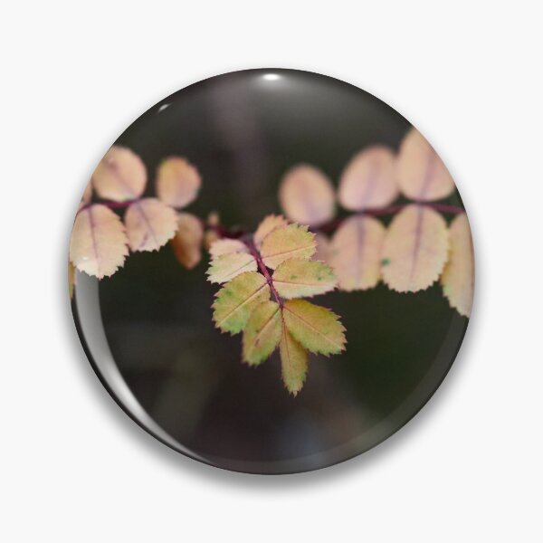 Item preview, About the roses and fall designed and sold by Jouko Lehto Photography.