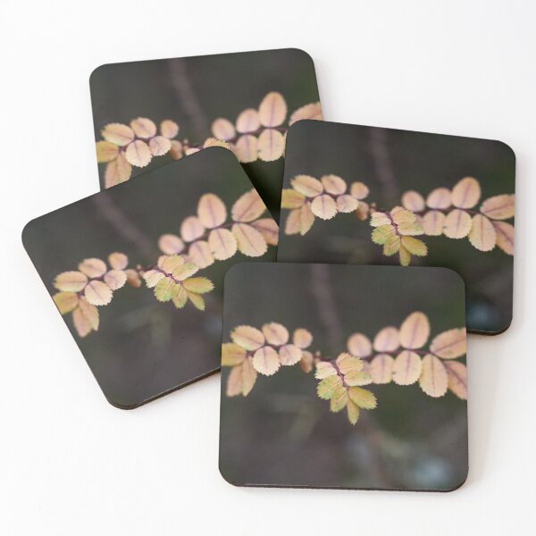 Item preview, About the roses and fall designed and sold by Jouko Lehto Photography.