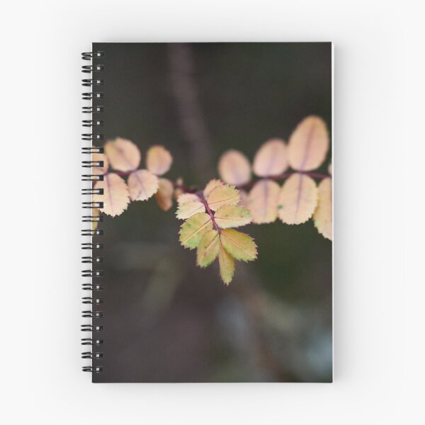 Item preview, About the roses and fall designed and sold by Jouko Lehto Photography.