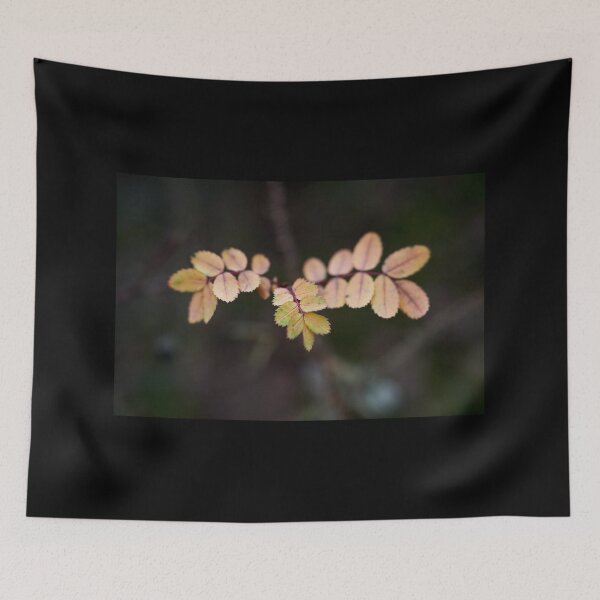 Item preview, About the roses and fall designed and sold by Jouko Lehto Photography.