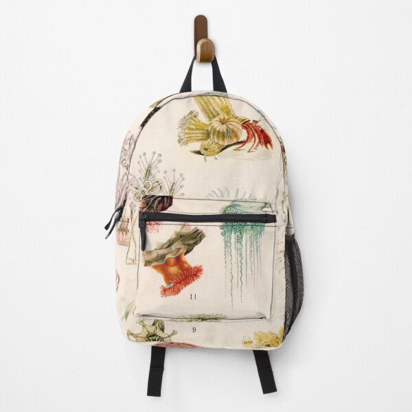 Item preview, Adolphe Millot - Mollusques 02 - French vintage zoology illustration designed and sold by DejaVuStudio.