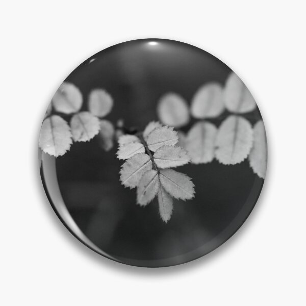 Item preview, About the roses and fall bw designed and sold by Jouko Lehto Photography.