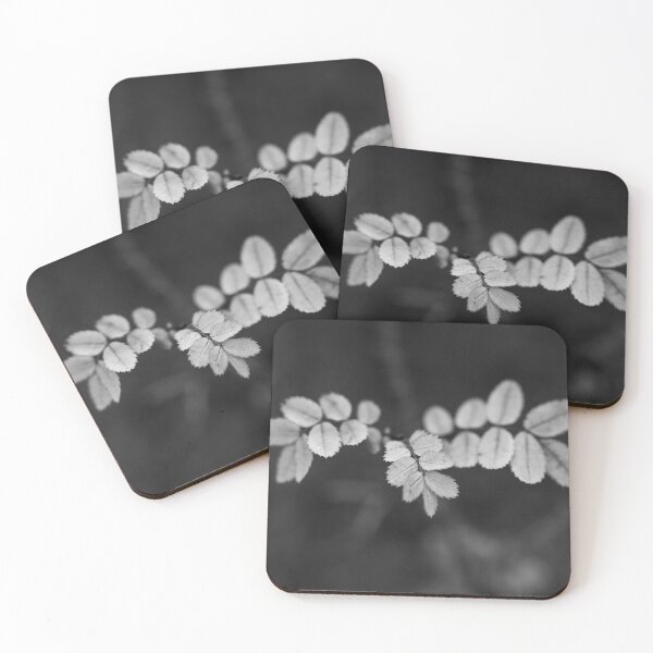 Item preview, About the roses and fall bw designed and sold by Jouko Lehto Photography.