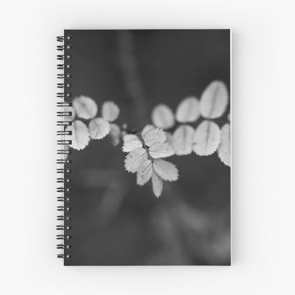 Item preview, About the roses and fall bw designed and sold by Jouko Lehto Photography.