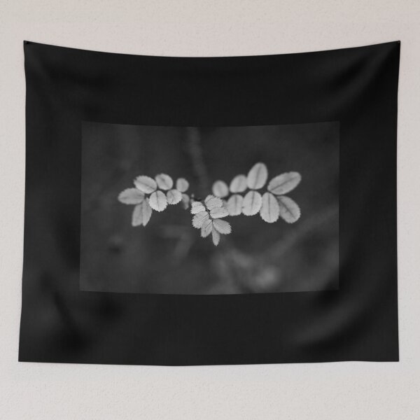 Item preview, About the roses and fall bw designed and sold by Jouko Lehto Photography.