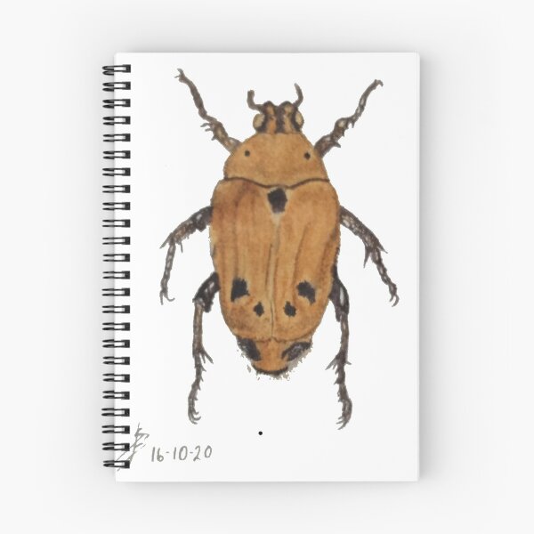 Item preview, Brown Flower Beetle designed and sold by Sueburnsinsects.