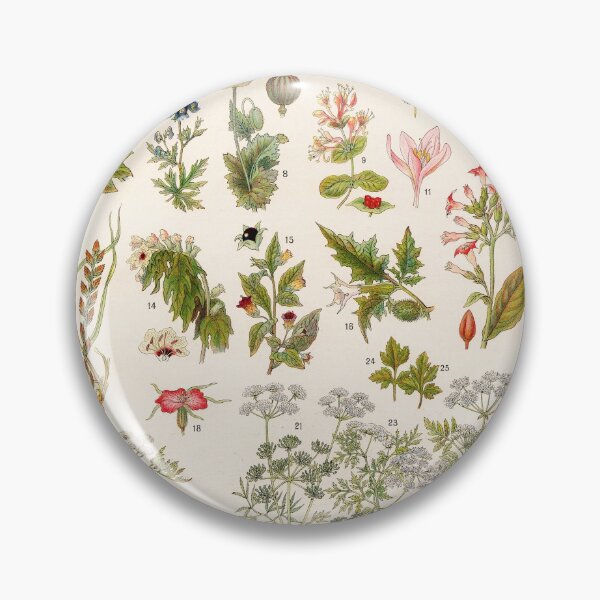 Item preview, Adolphe Millot - Plantes vénéneuses - French vintage botanical illustration designed and sold by DejaVuStudio.