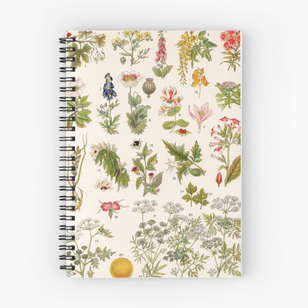 Item preview, Adolphe Millot - Plantes vénéneuses - French vintage botanical illustration designed and sold by DejaVuStudio.