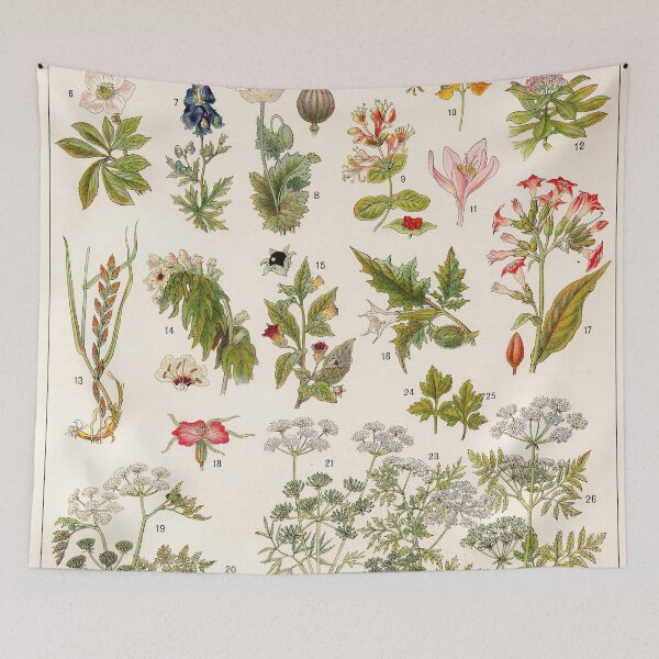 Item preview, Adolphe Millot - Plantes vénéneuses - French vintage botanical illustration designed and sold by DejaVuStudio.
