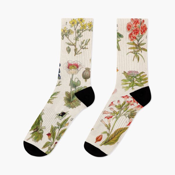 Item preview, Adolphe Millot - Plantes vénéneuses - French vintage botanical illustration designed and sold by DejaVuStudio.