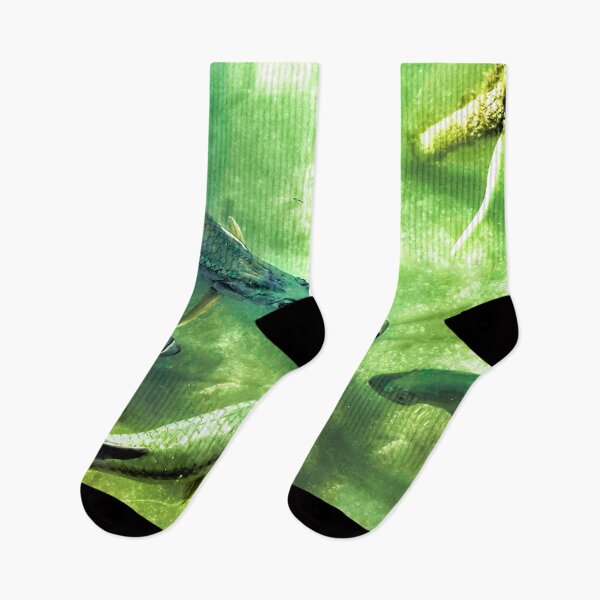 Item preview, Wild fish designed and sold by GraphicConcepts.