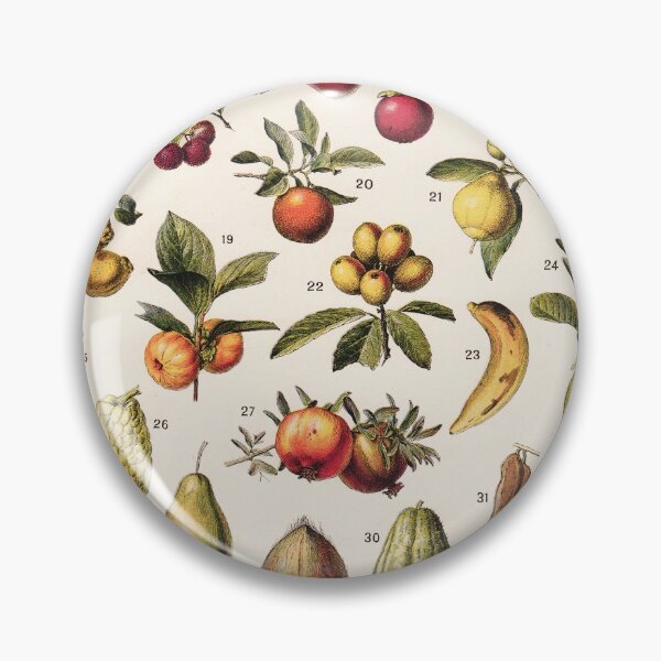 Item preview, Adolphe Millot - Fruits exotiques - French vintage botanical illustration designed and sold by DejaVuStudio.