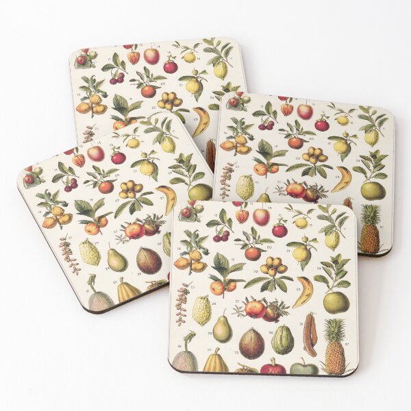 Item preview, Adolphe Millot - Fruits exotiques - French vintage botanical illustration designed and sold by DejaVuStudio.