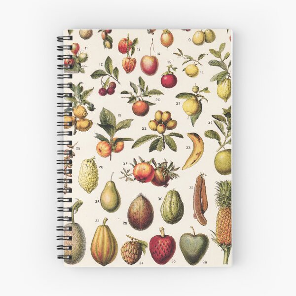 Item preview, Adolphe Millot - Fruits exotiques - French vintage botanical illustration designed and sold by DejaVuStudio.