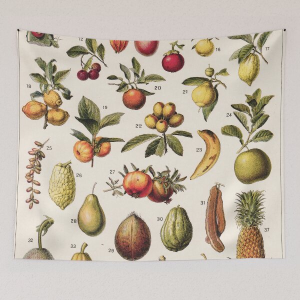 Item preview, Adolphe Millot - Fruits exotiques - French vintage botanical illustration designed and sold by DejaVuStudio.