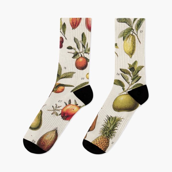 Item preview, Adolphe Millot - Fruits exotiques - French vintage botanical illustration designed and sold by DejaVuStudio.