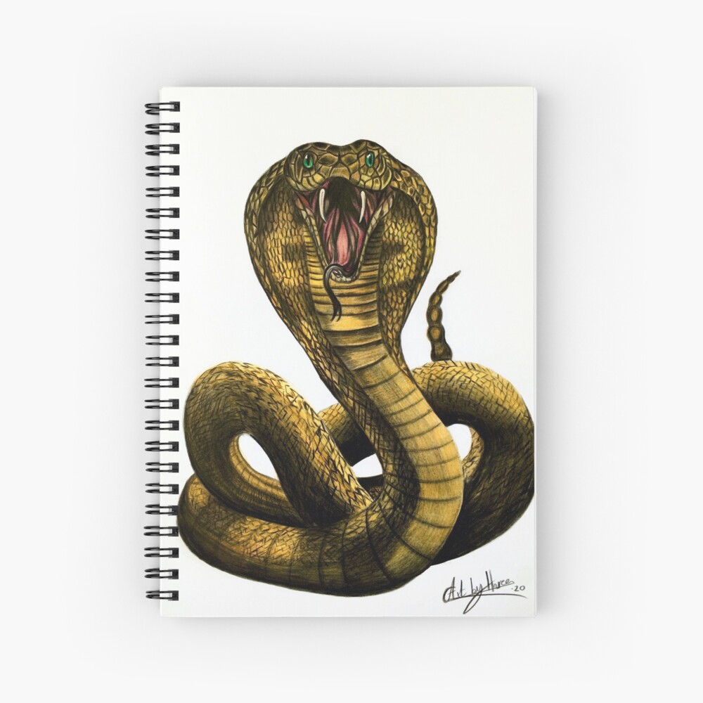 King Cobra Drawing - Snake Art
