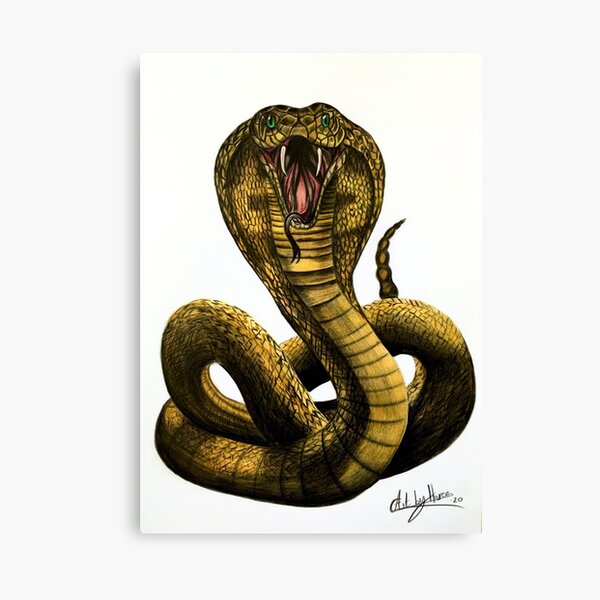 Item preview, King Cobra Snake designed and sold by Artbythree.