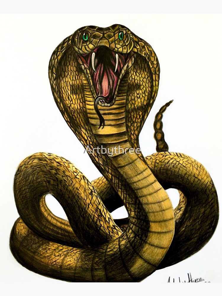Clean lines doodle design of Cobra snake for adult anti stress coloring  book. Zenart design beautiful doodles Stock Vector | Adobe Stock