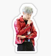 Hoshi Sticker