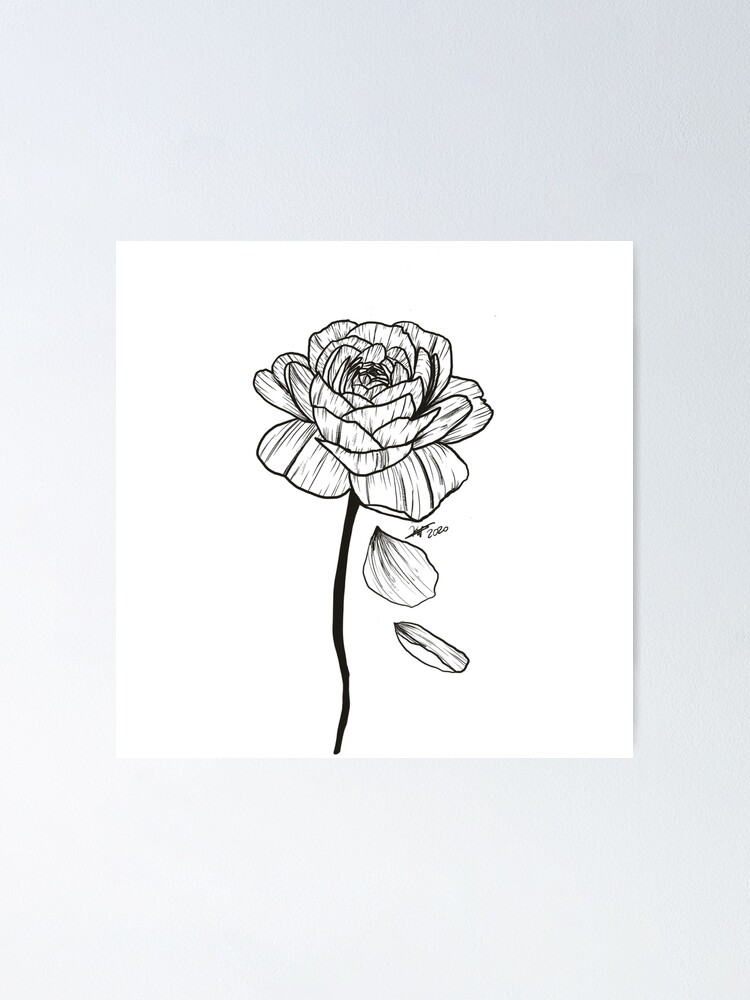 Enchanted Rose - Single Rose with Falling Petals Poster for Sale by  Kaotik-Sketches