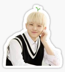 Woozi Sticker