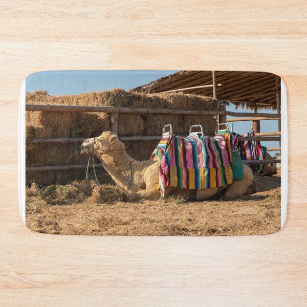 Item preview, The Camel designed and sold by PhotosTye.