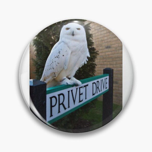 Item preview, Owls in surrey  designed and sold by lol1310.