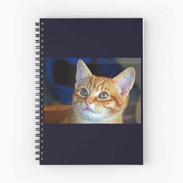 Item preview, How Can You Resist a Kitten like me,,,, designed and sold by lynn carter.