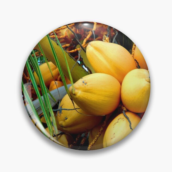 Item preview, yellow coconuts in tree designed and sold by fineartbyK.