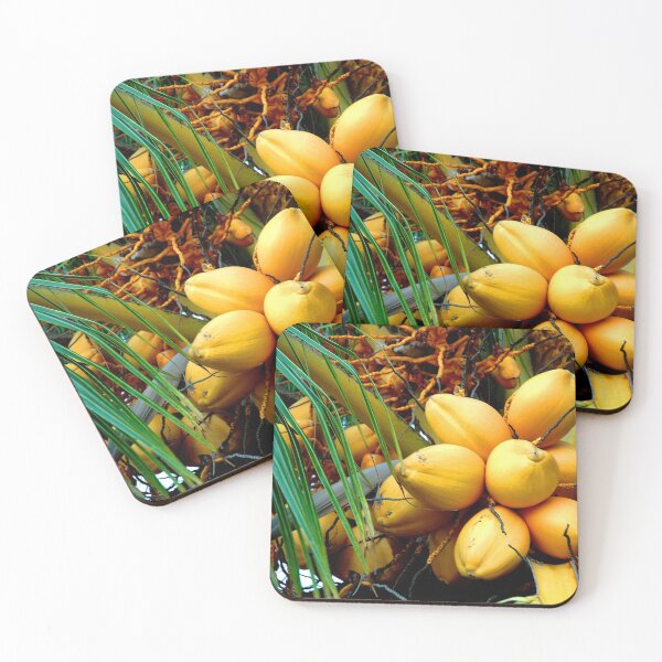 Item preview, yellow coconuts in tree designed and sold by fineartbyK.