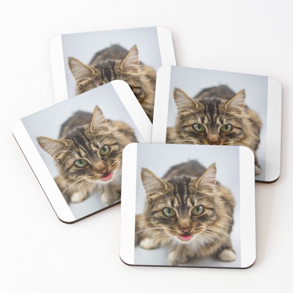 Item preview, Boudicca the cat designed and sold by Oliviasphoto.