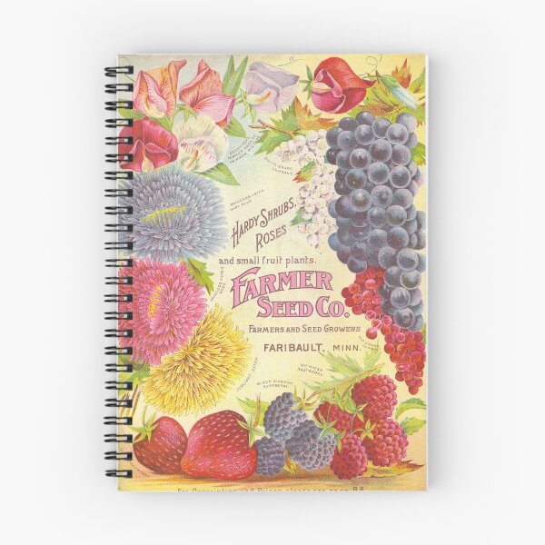 Item preview, Asters and Berries - Farmer Seed Co 1906 designed and sold by killies.