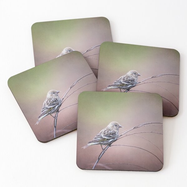 Item preview, Pine Siskin on a Branch designed and sold by PhotoArt by Joan Carroll.