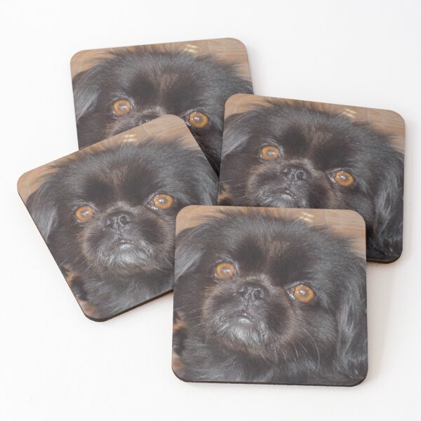 Item preview, Adorable Black Pekingese Dog Face Photo Print designed and sold by GalleryNora.