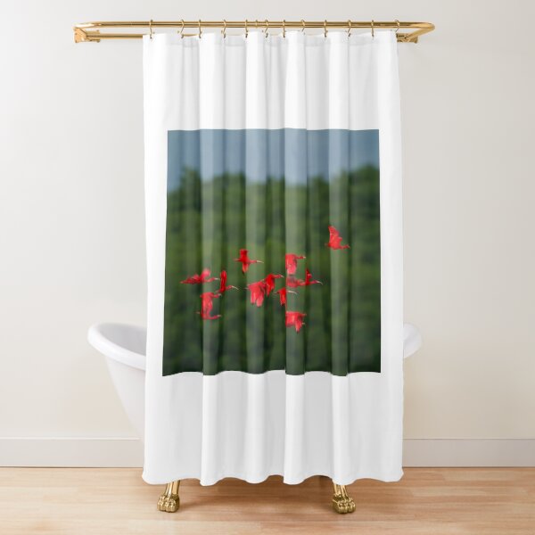 Flight of the Ibis Shower Curtain