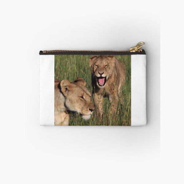 Item preview, female lions roaring designed and sold by dawnspics2020.