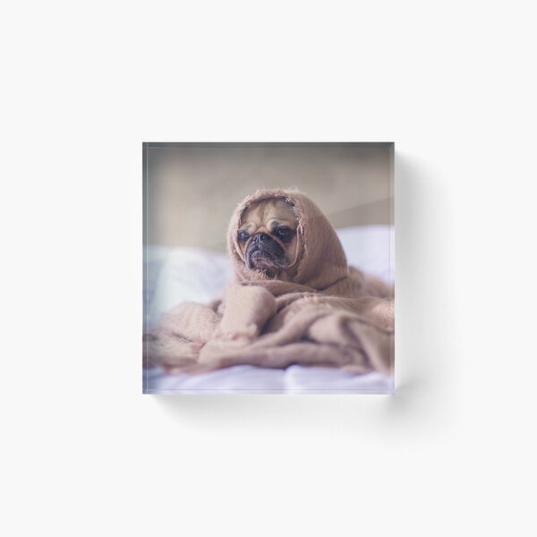 Aperçu de l'œuvre Pug rigolo créée et vendue par Batartiste.