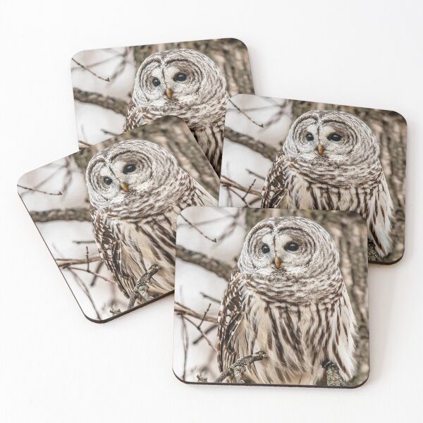 Item preview, Beautiful Barred Owl  designed and sold by Vargulich.