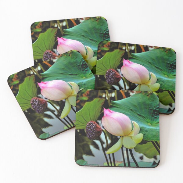 Item preview, Pink Lotus in the Pond designed and sold by Savannah Gibbs.
