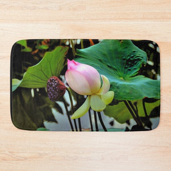 Item preview, Pink Lotus in the Pond designed and sold by Savannah Gibbs.