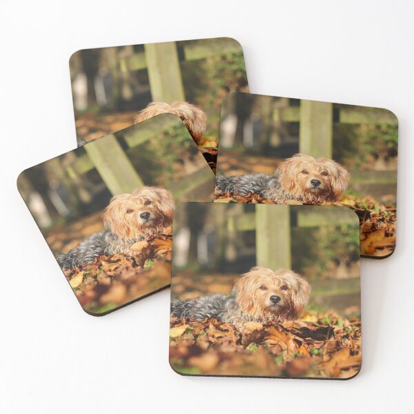 Item preview, Kaiya in autumn leaves designed and sold by GreyFeatherPhot.