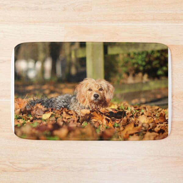 Item preview, Kaiya in autumn leaves designed and sold by GreyFeatherPhot.