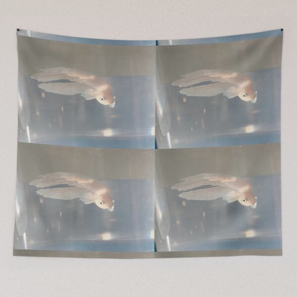 Item preview, White Beta Fish designed and sold by Taranodongirl7.