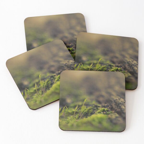 Item preview, Follow designed and sold by KazzaKphotos.