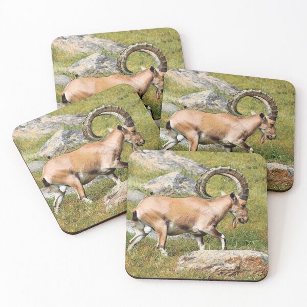 Item preview, Nubian Ibex designed and sold by DonnaM.
