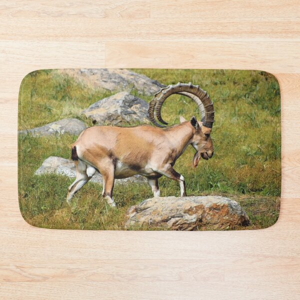 Item preview, Nubian Ibex designed and sold by DonnaM.