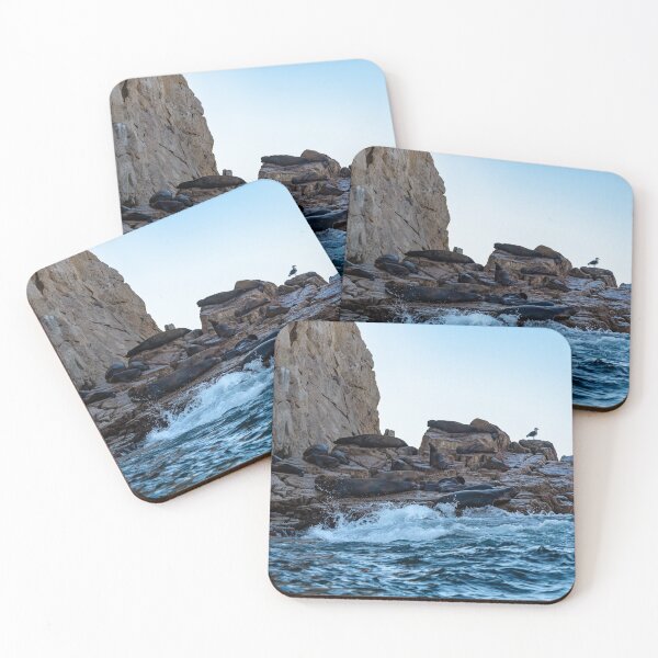 Item preview, Seal Rock designed and sold by PhotosTye.